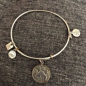 Alex and Ani Bracelet